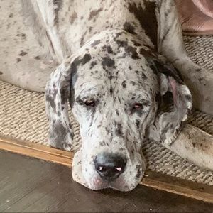 Meet your Posher, Patrice